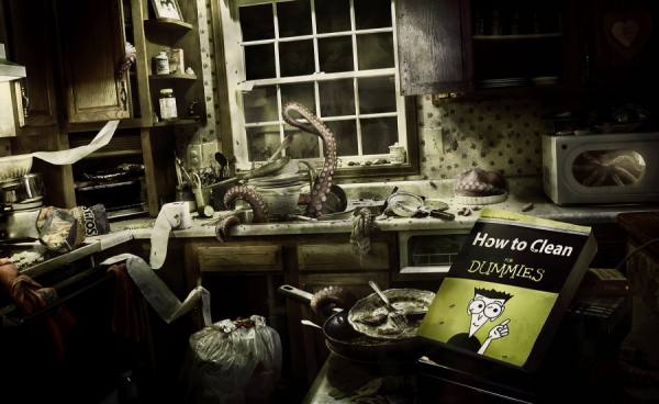 Photograph Nina Marie Rambo How To Clean For Dummies on One Eyeland